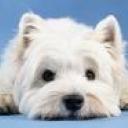 Profile picture for user Mamsel