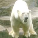 Profile picture for user Küchenschreck