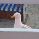 Profile picture for user Tanja1209