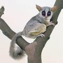 Profile picture for user waldimaus