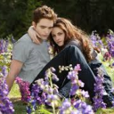 Profile picture for user Nicole3678