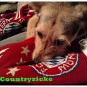 Profile picture for user Countryzicke