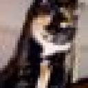 Profile picture for user Selena