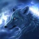 Profile picture for user orkawal
