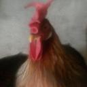Profile picture for user Thermihuhn