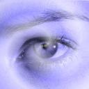 Profile picture for user kittyk60