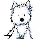 Profile picture for user Sanni31