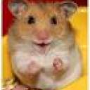 Profile picture for user Hamsterbacke