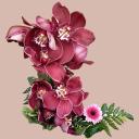 Profile picture for user Kerstin 1166