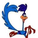 Profile picture for user roadrunner