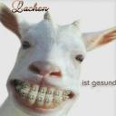 Profile picture for user Anke M