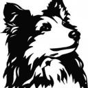 Profile picture for user Bibse3112