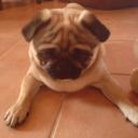Profile picture for user anne1111
