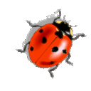 Profile picture for user streety