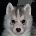 Profile picture for user elima