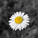 Profile picture for user akirdh