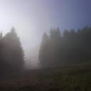Profile picture for user gartenzwerg09