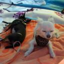 Profile picture for user filomena48