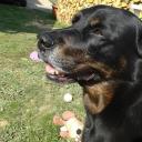 Profile picture for user Silke2808