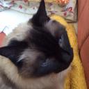 Profile picture for user Wina1965