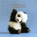 Profile picture for user Wartelieschen