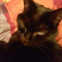 Profile picture for user Jule0505