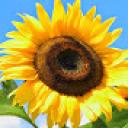 Profile picture for user Angie1969