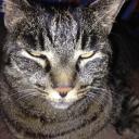 Profile picture for user Bine12358