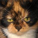 Profile picture for user So Phie