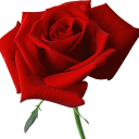 Profile picture for user Frika_Rose