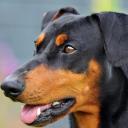 Profile picture for user Milo2010