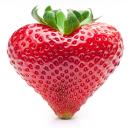 Profile picture for user VanillaHeart