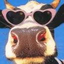 Profile picture for user AnitaZ1972