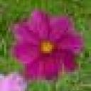 Profile picture for user ulrike1605