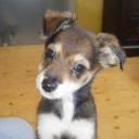 Profile picture for user Heidelina17