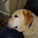 Profile picture for user Pasadena