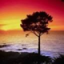 Profile picture for user anna belli