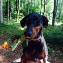 Profile picture for user Birgit-17