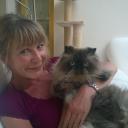 Profile picture for user isabell41