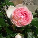 Profile picture for user Principessa60