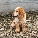 Profile picture for user Birgit4567