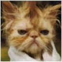 Profile picture for user flecki10_1