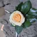 Profile picture for user Lucy195