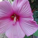 Profile picture for user Sylvia Braun