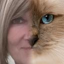 Profile picture for user henry le petit