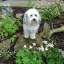 Profile picture for user Nadine75
