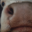 Profile picture for user Stefan123456789