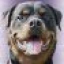 Profile picture for user Billie-Jean