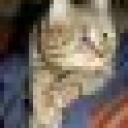 Profile picture for user Biene-64