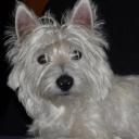 Profile picture for user lulu2002